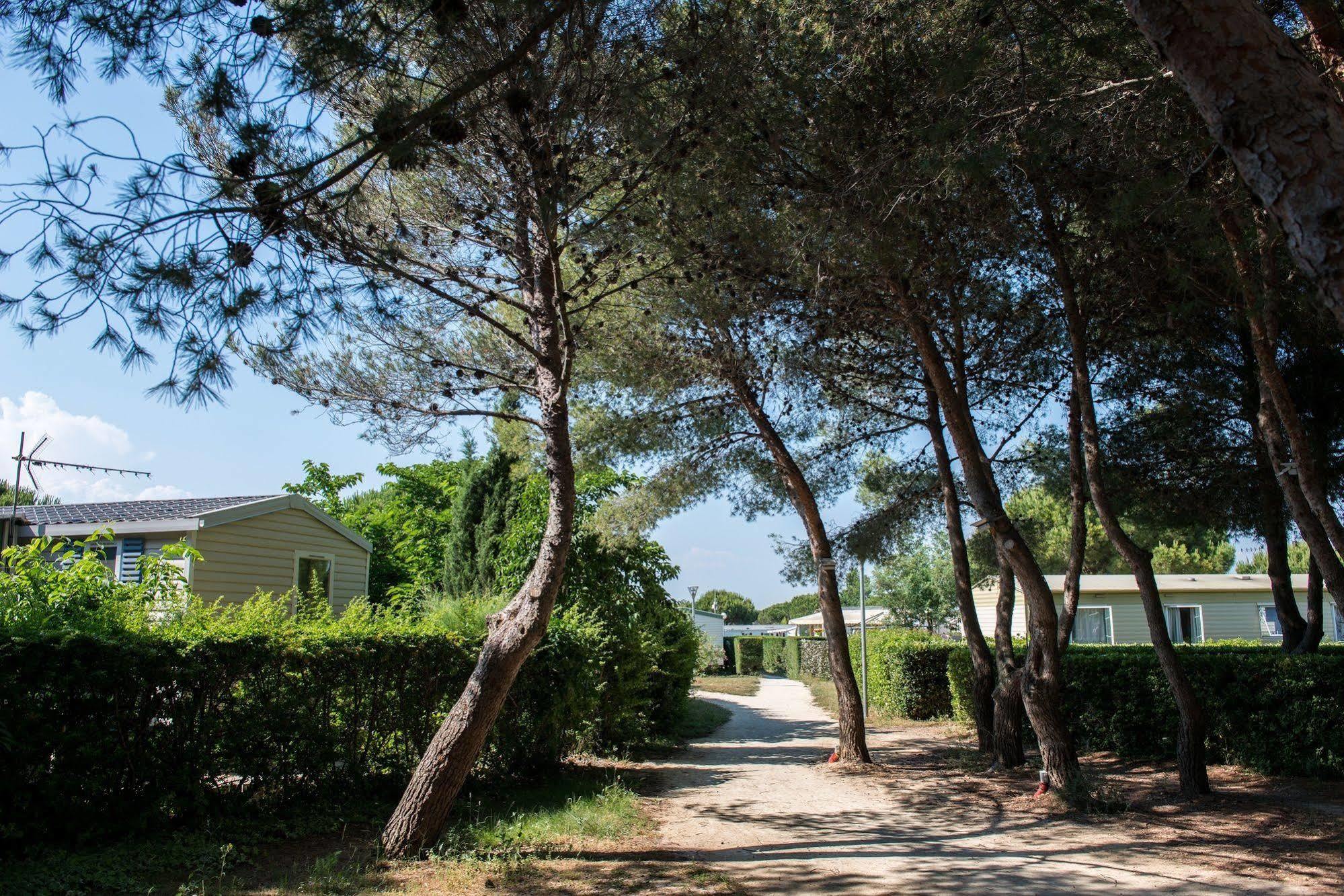 Camping Officiel Siblu Le Lac Des Reves Lattes Exterior foto